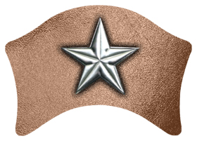 DABAN-430-SL-BZ Star Silver-Bronze